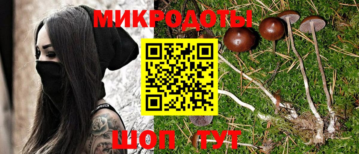 Нововоронеж  Галлюциногенные грибы Psilocybine cubensis  Вход с VPN 