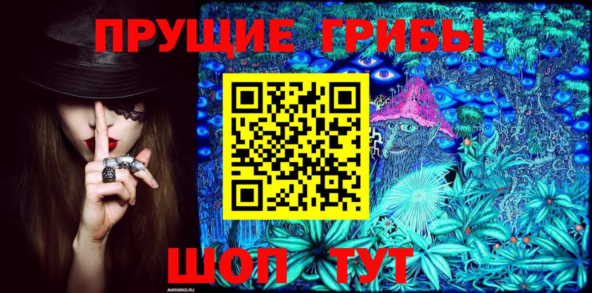 Псилоцибиновые грибы GOLDEN TEACHER Нововоронеж