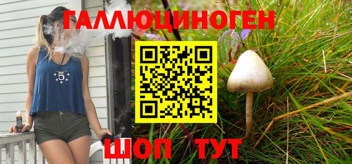 Меф Нововоронеж